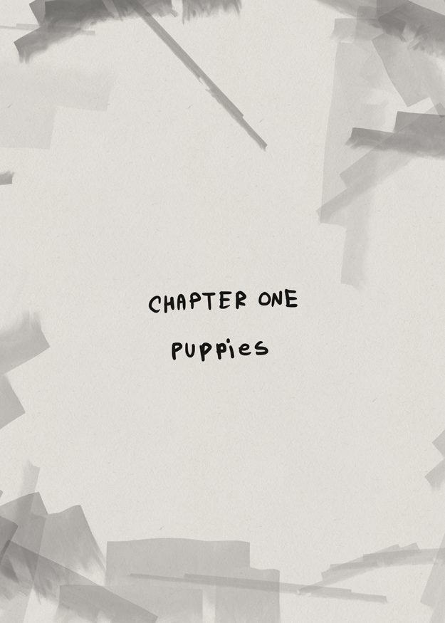 Chapter 1: Puppies