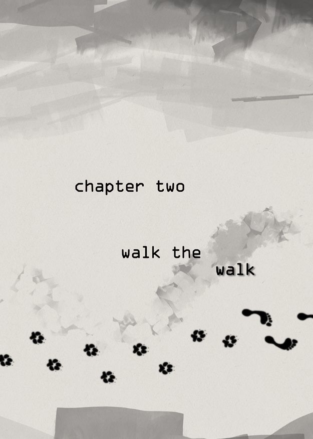 Chapter 2: Walk the Walk